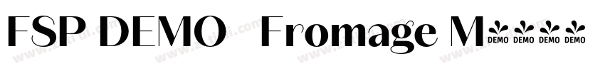 FSP DEMO   Fromage M字体转换